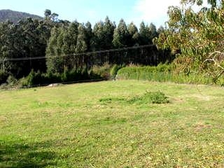 Valdovino property: Valdovino, Spain | House for sale 182251