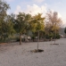 Beautiful Villa for sale in town 184981