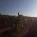 town Land, Spain 185009
