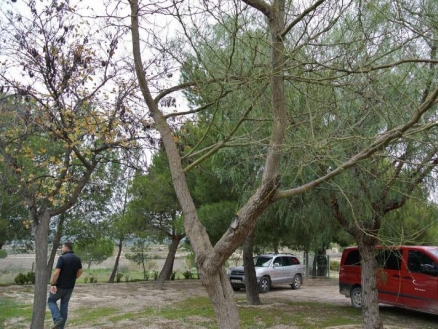 House for sale in town, Spain 185016