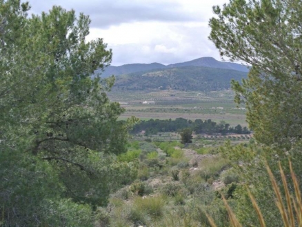 Land for sale 185026