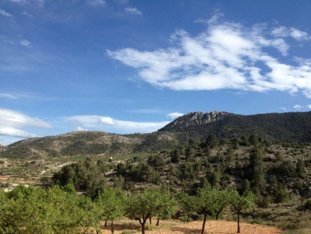 Land for sale in town 185027