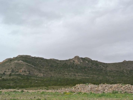 province Land 185029