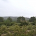 town, Spain Land 185029
