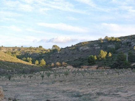 Land for sale in town, Spain 185040