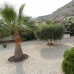 Beautiful Villa for sale in town 185053