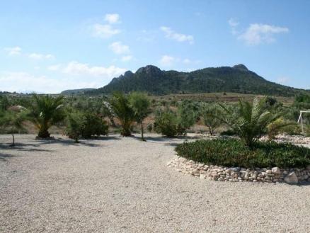 town Villa 185083