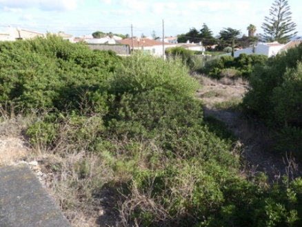 Land for sale in town,  185414