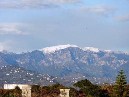 Benajarafe&nbsp;property:&nbsp;Commercial&nbsp;for&nbsp;sale&nbsp;in&nbsp;Benajarafe,&nbsp;Malaga&nbsp;185622