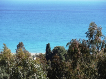 Benajarafe&nbsp;property:&nbsp;Commercial&nbsp;in&nbsp;Malaga&nbsp;for&nbsp;sale&nbsp;185622