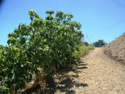 Benajarafe&nbsp;property:&nbsp;Villa&nbsp;with&nbsp;bedroom&nbsp;in&nbsp;Benajarafe&nbsp;185637