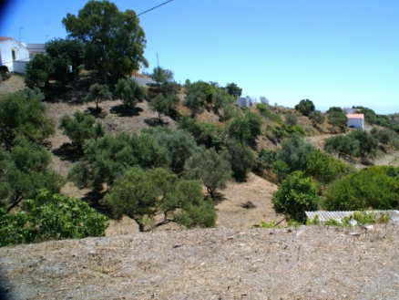 Benajarafe&nbsp;property:&nbsp;Benajarafe,&nbsp;Spain&nbsp;|&nbsp;Villa&nbsp;for&nbsp;sale&nbsp;185637