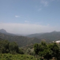 Estepona property: Land for sale in Estepona 185881