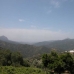 Estepona property: Land for sale in Estepona 185881