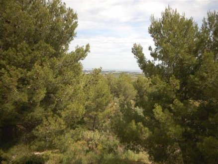 town&nbsp;Villa&nbsp;186011