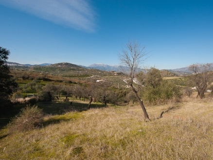 Coin property: Land for sale in Coin 186658