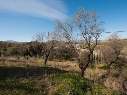 Coin property: Land in Malaga for sale 186658