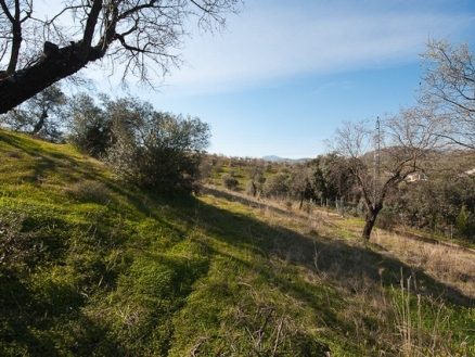 Coin property: Malaga property | bedroom Land 186658