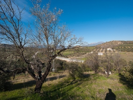 Coin property: Malaga Land 186658