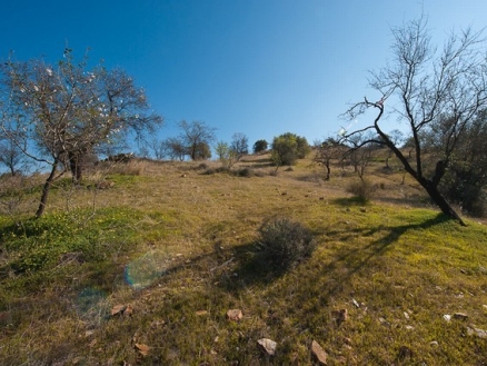Coin property: Coin Land 186658