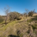 Coin property: bedroom Land in Coin, Spain 186658