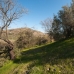 Coin property: Land in Malaga 186658