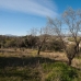 Coin property: Land in Coin 186658