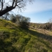Coin property: Coin Land, Spain 186658