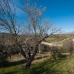 Coin property: Beautiful Land for sale in Coin 186658