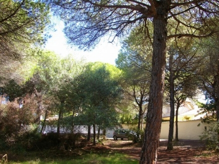 Marbesa&nbsp;property:&nbsp;Land&nbsp;for&nbsp;sale&nbsp;in&nbsp;Marbesa&nbsp;186726