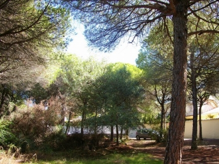 Marbesa&nbsp;property:&nbsp;Malaga&nbsp;Land&nbsp;186726