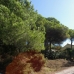 Marbesa&nbsp;property:&nbsp;Marbesa,&nbsp;Spain&nbsp;Land&nbsp;186726