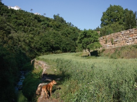 Benahavis&nbsp;property:&nbsp;Villa&nbsp;in&nbsp;Malaga&nbsp;for&nbsp;sale&nbsp;187030