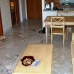Alhaurin&nbsp;De&nbsp;La&nbsp;Torre&nbsp;property:&nbsp;&nbsp;Apartment&nbsp;in&nbsp;Malaga&nbsp;187156