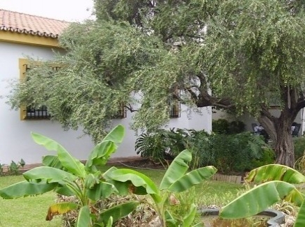 Alhaurin&nbsp;De&nbsp;La&nbsp;Torre&nbsp;property:&nbsp;Malaga&nbsp;property&nbsp;|&nbsp;3&nbsp;bedroom&nbsp;Villa&nbsp;187190