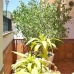 Alhaurin&nbsp;De&nbsp;La&nbsp;Torre&nbsp;property:&nbsp;3&nbsp;bedroom&nbsp;Townhome&nbsp;in&nbsp;Alhaurin&nbsp;De&nbsp;La&nbsp;Torre,&nbsp;Spain&nbsp;187231