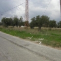 Alhaurin El Grande property: Land for sale in Alhaurin El Grande 187239