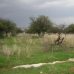 Alhaurin El Grande property: Alhaurin El Grande, Spain Land 187239