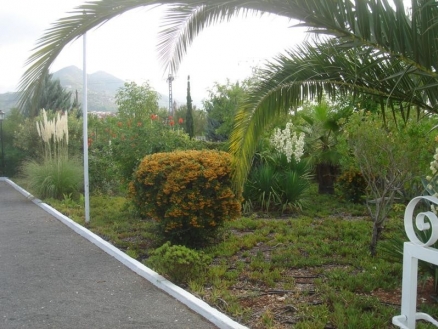 Alcalali&nbsp;property:&nbsp;Alcalali&nbsp;Villa&nbsp;187242