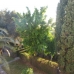 El Paraiso property: Malaga Studio, Spain 187700