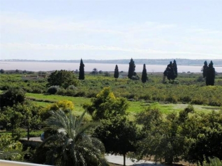 Los Montesinos property: Apartment for sale in Los Montesinos 187752