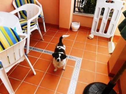 Algorfa&nbsp;property:&nbsp;Villa&nbsp;in&nbsp;Alicante&nbsp;for&nbsp;sale&nbsp;187764