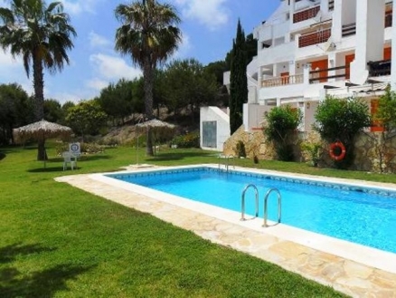 town&nbsp;Apartment&nbsp;187797