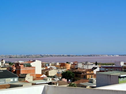 Los Montesinos property: Los Montesinos Apartment 188033