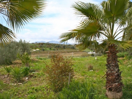 Cartama&nbsp;property:&nbsp;Villa&nbsp;for&nbsp;sale&nbsp;in&nbsp;Cartama,&nbsp;Malaga&nbsp;188073