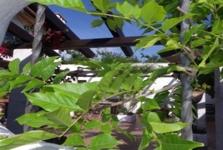 Alhaurin El Grande property: Alhaurin El Grande Villa 189380