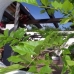 Alhaurin El Grande property: Beautiful Villa for sale in Malaga 189380