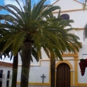 Alhaurin De La Torre property: Commercial for sale in Alhaurin De La Torre 189382