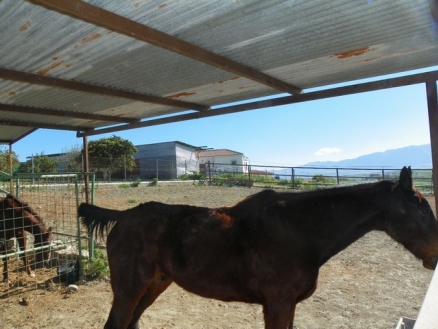 Coin property: Villa with 2 bedroom in Coin, Spain 189398