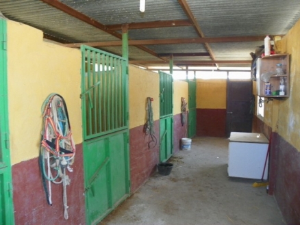 Coin property: Villa for sale in Coin, Malaga 189398